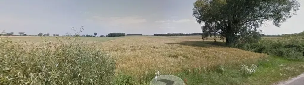 Działka na sprzedaż 5000m2