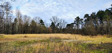 Spokój | lasy | komfortowy dojazd