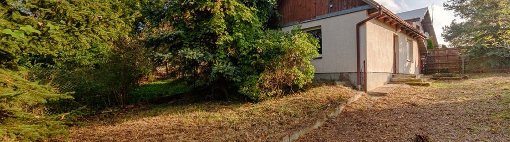 Drewniany domek - twoja oaza w sercu miasta