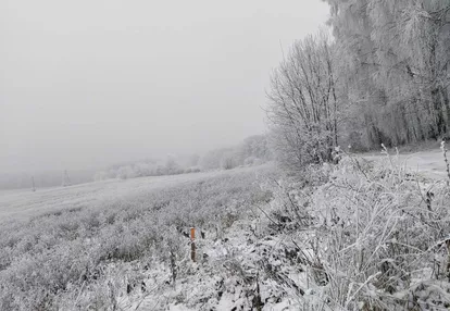 Działka na sprzedaż 1400m2