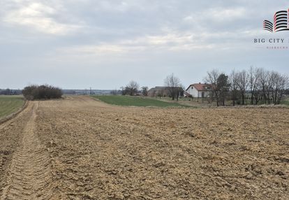 Działka zagrodowo blisko milejowa