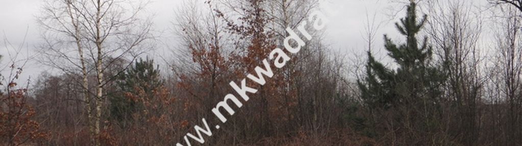 Oferta dla inwestorów duża powierzchnia