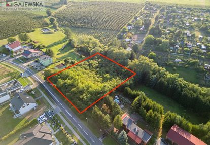 Działka z ogromnym potencjałem w wyrzysku!