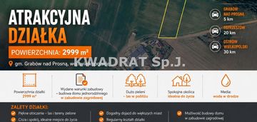 Duża działka pod lasem (2999 m²)– grabów wójtostwo