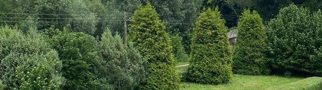 Dom pod sandomierzem -żurawica idealny dla rodziny