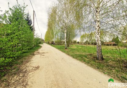 Działka przy alejce brzozowej w białowieży