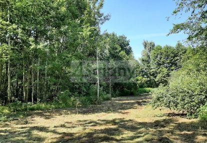 Kształtna działka w otulinie leśnej, blisko stacja