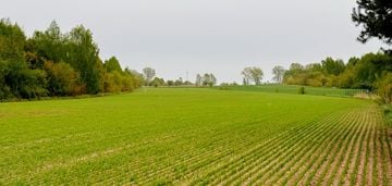 Działka rolno-budowlana w tuszynie