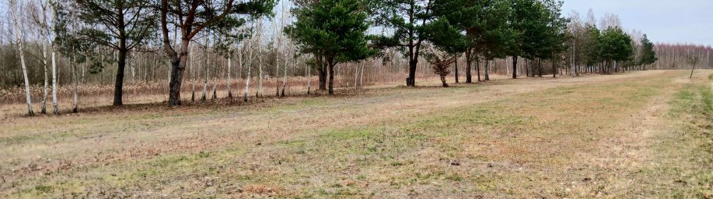 Działka budowlana przy lesie