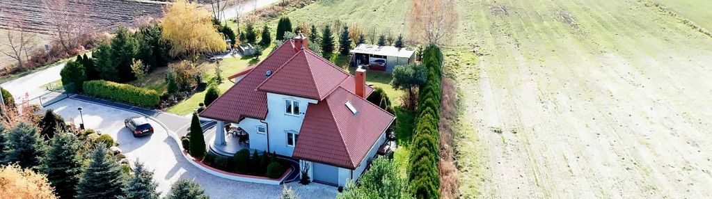 Zielona, spokojna okolica blisko lasu