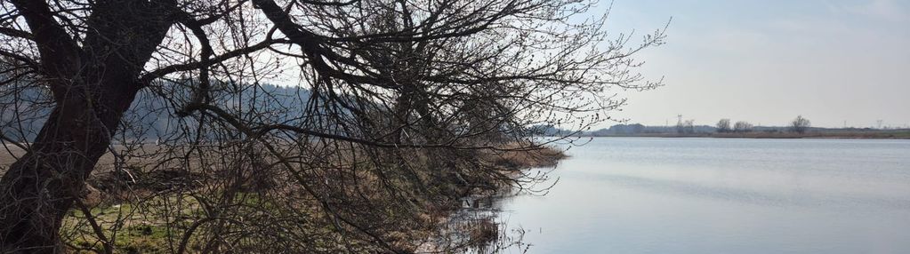 Zamieszkaj 3 km od malborka, 3 min. od rzeki nogat