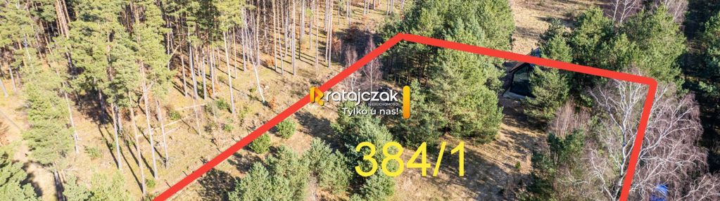 Domek nad morzem | las | sasino | 3 156m2 działka