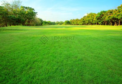 3.218 m2 tuż przy lesie | pnb |