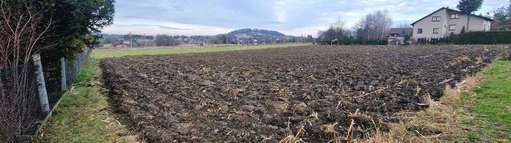 Czego brakuje tej działce ?