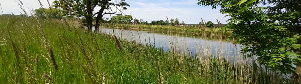 Działka z linią brzegową rzeki.