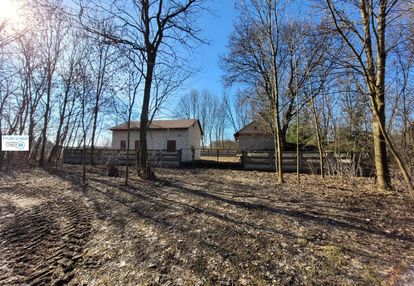 Siedlisko z domkiem i 3 ha ziemi - trzciniec