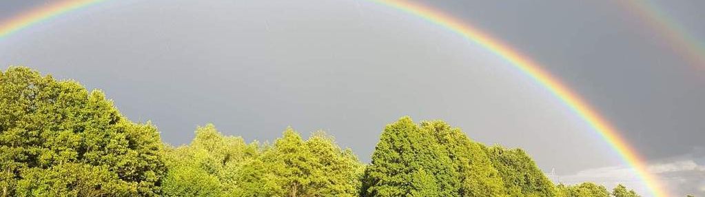 Urocza działka w pobliżu jeziora bielskiego