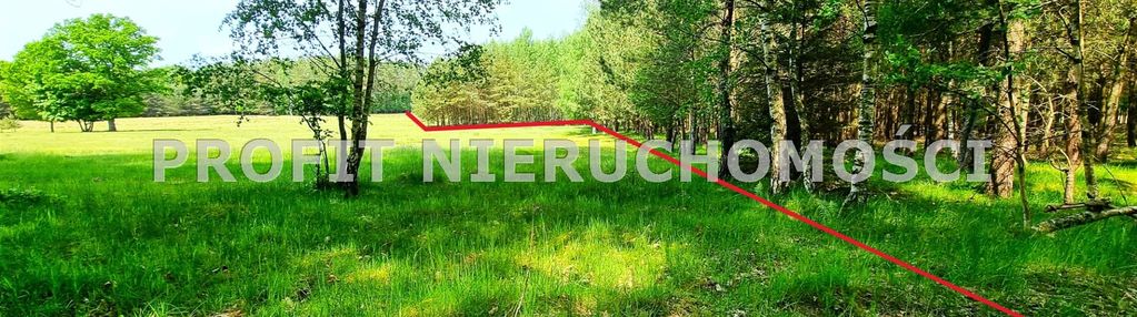 Działka w otulinie lasu opodal jeziora lubowidz