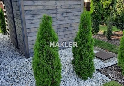 Zadbana działka rod-murowany domek