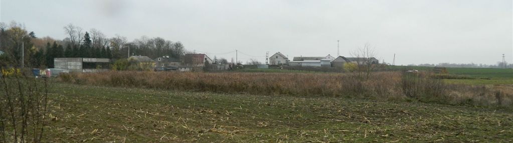 Działka unisławice 80000