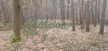 Atrakcyjna działka w sękocinie las