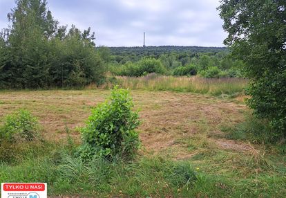 Dzialka - tylko 30min szlakiem na święty krzyż!