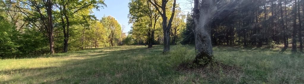 Piekna działka budowlana 1973 m2 jabłonna