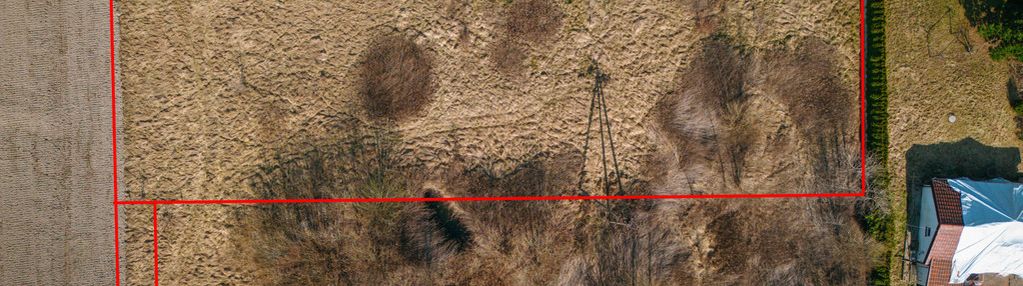 Działka budowlana - wilczeniec bogucki