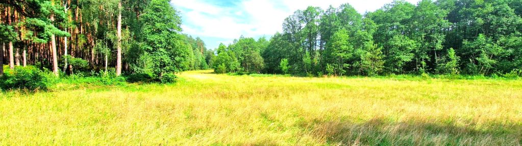 Działka z linią brzegową w borach tucholskich