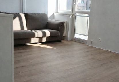 3 pokoje,  jasne | parking | odświeżone