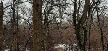 Piękna działka z wz dla dwóch domów