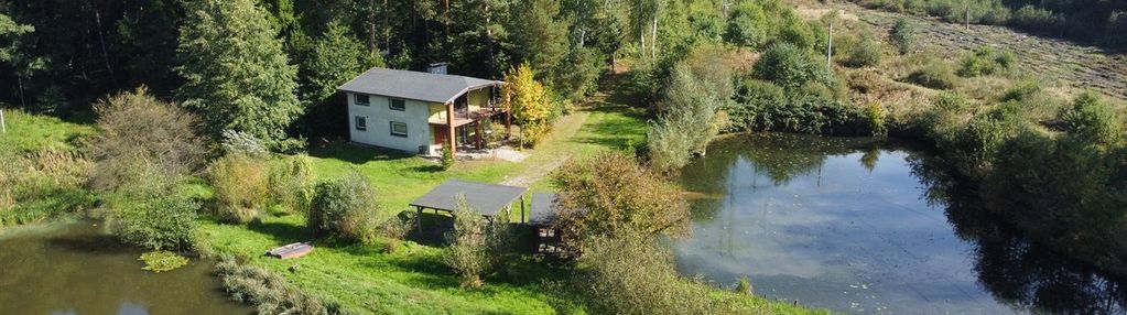 Posiadłość przegędza - staw, las