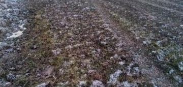 Działki z warunkami zabudowy 4 km od morza