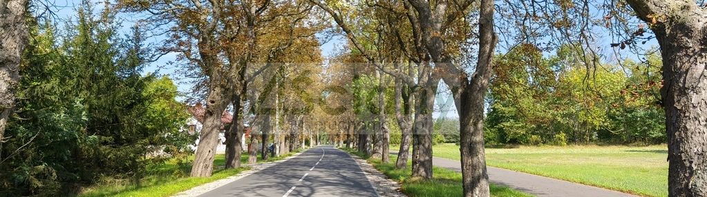 Piekne działka w zarębach