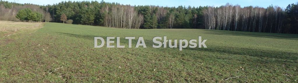 ⭐ działka inwestycyjna w kruszynie