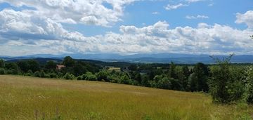 Dom i zabudowa gospodarcza na działce 4,6 ha