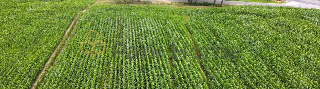 Wybuduj się w sąsiedztwie natury