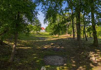 Zacisze_las_mpzp_blisko media_natura, zobacz film