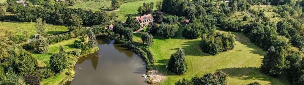 Willa z historią i ponad 4 hektarami ziemi