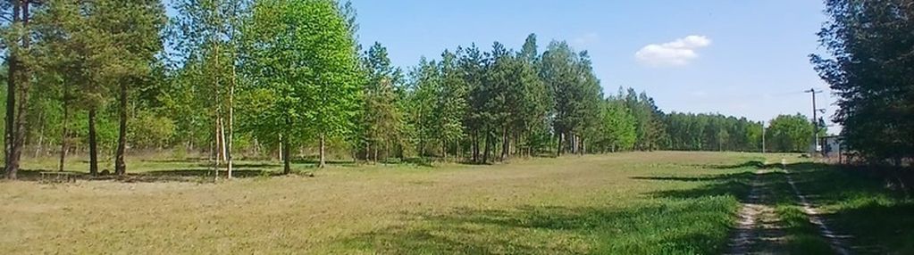 Działka budowlana przy lesie