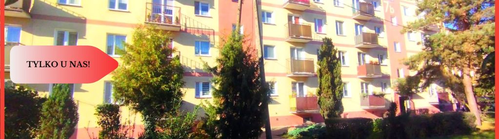 Tylko w naszym biurze 43 metry z potencjałem