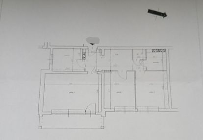 Piękne położenie wśród zieleni