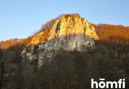 Na sprzedaż 1,3 ha działki leśno-rolnej, okazja