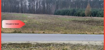 Działka budowlana ze ścianą lasu