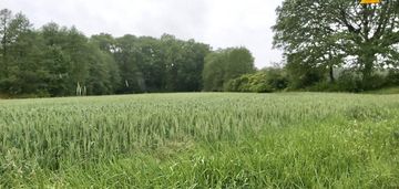 Grunt rolny przy lesie