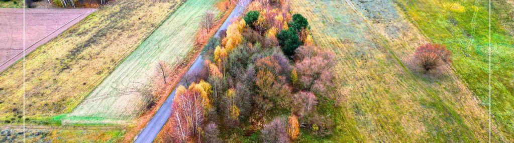 Działki (1000 m2 lub 1989m2) przy narwi, natura✔