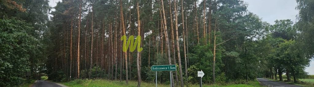Cicha działka 2,16 ha, media w drodze, las