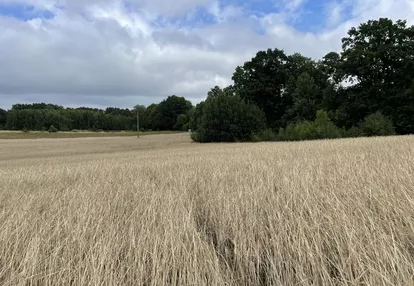 Działka na sprzedaż 198m2