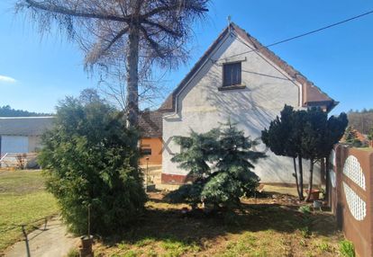 Dom+budynki gospodarcze, duża działka, krotoszyn