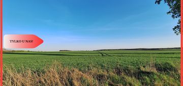 Działka w atrakcyjnej cenie- boruchowo